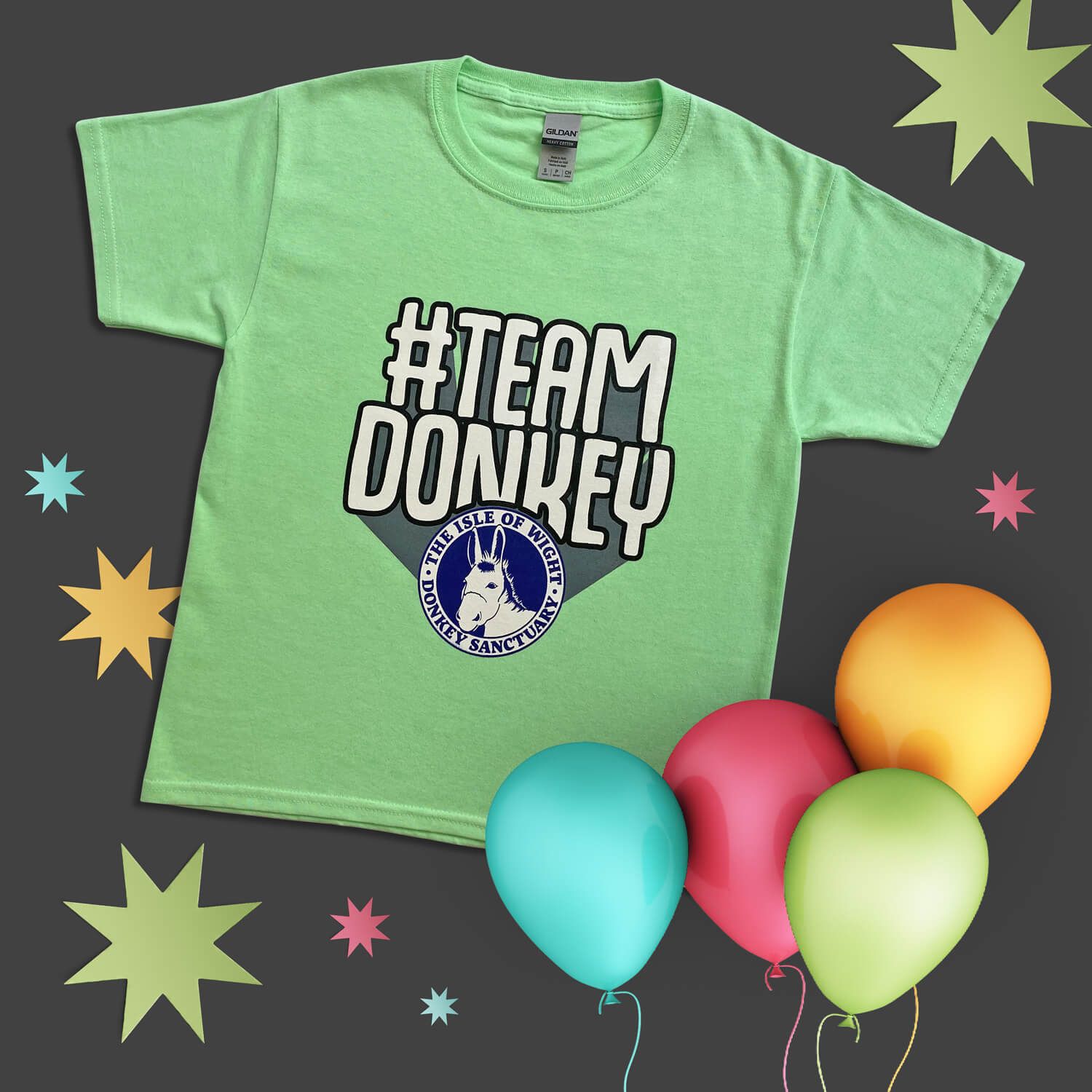Team Donkey kids t-shirt for the Isle of Wight Donkey Sanctuary's shop, designed by MooksGoo