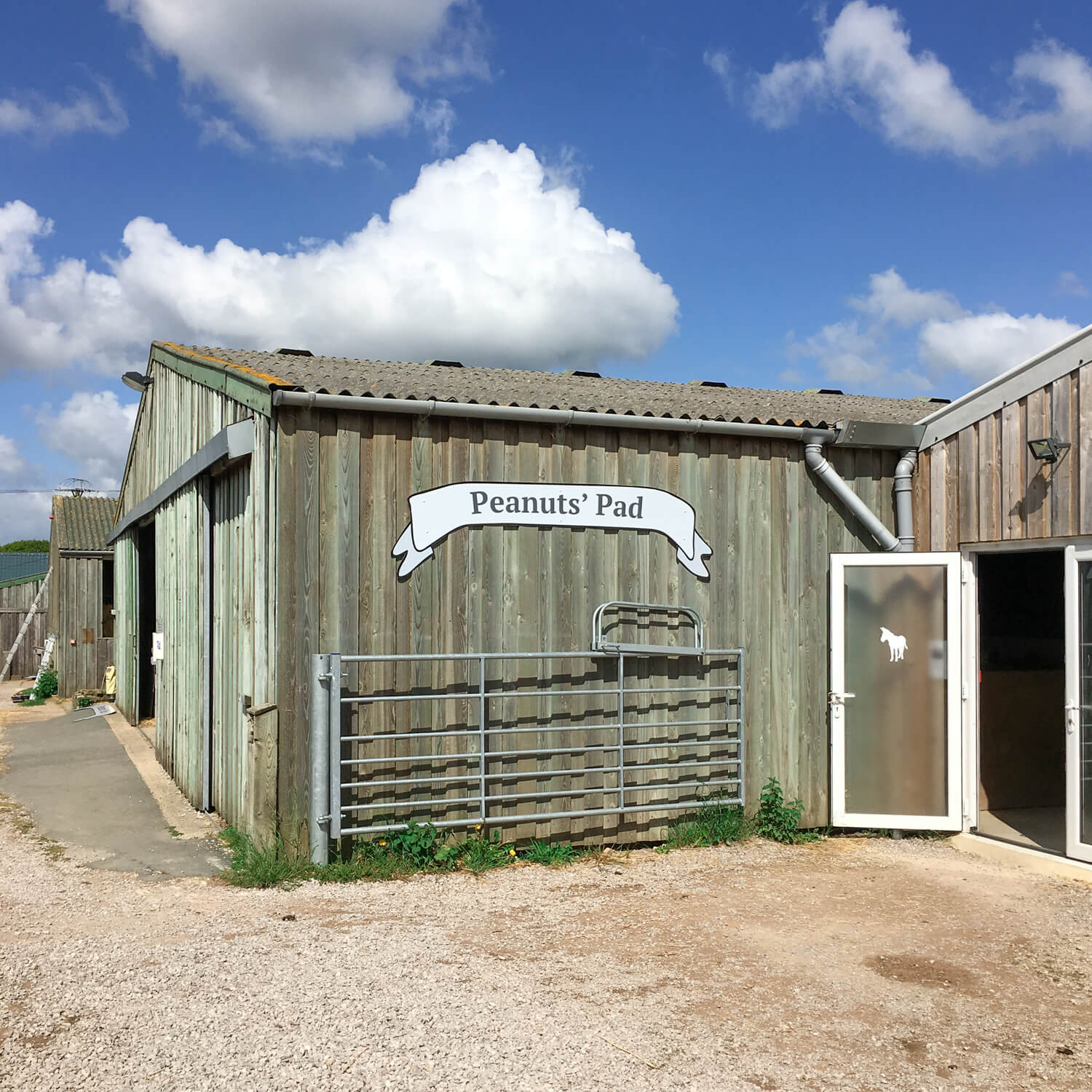 Large illustrated banner signage for the barns at the Isle of Wight Donkey Sanctuary, designed by MooksGoo