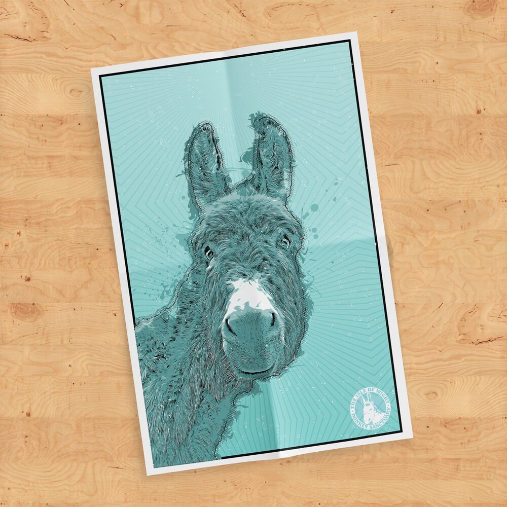 Perky the donkey cartoon poster at the Isle of Wight Donkey Sanctuary, designed by MooksGoo