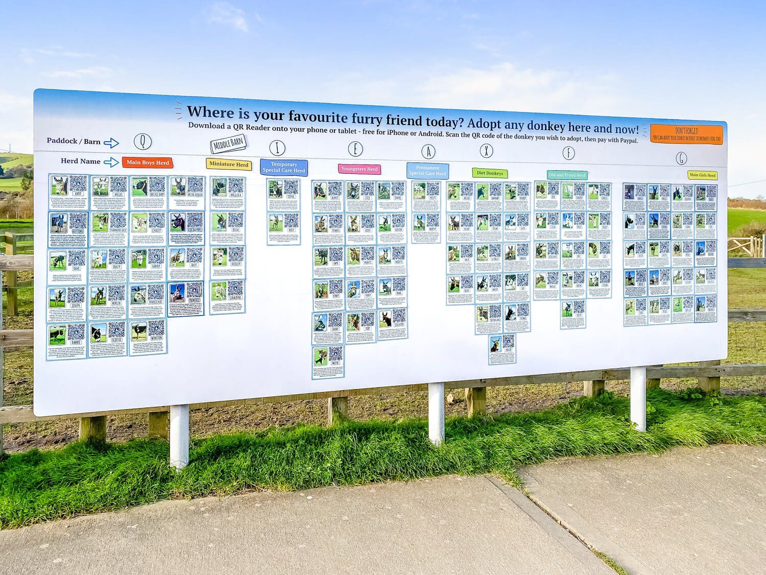 QR code adoption board for the Isle of Wight Donkey Sanctuary, designed by MooksGoo