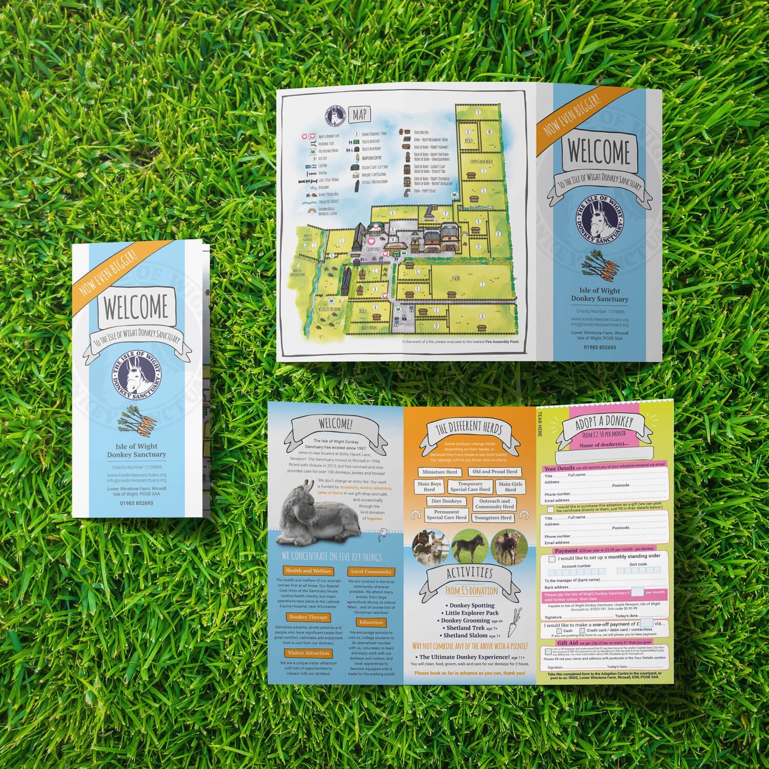 Folded DL welcome leaflet for the Isle of Wight Donkey Sanctuary, designed and printed by MooksGoo