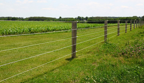 Expert Rural Fencing