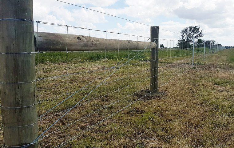 Reliable-Rural-Fencing