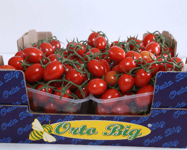 Pomodoro Vesuviano