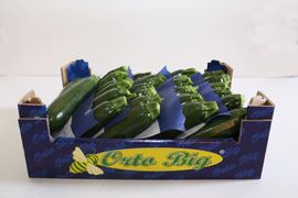 Zucchina scura
