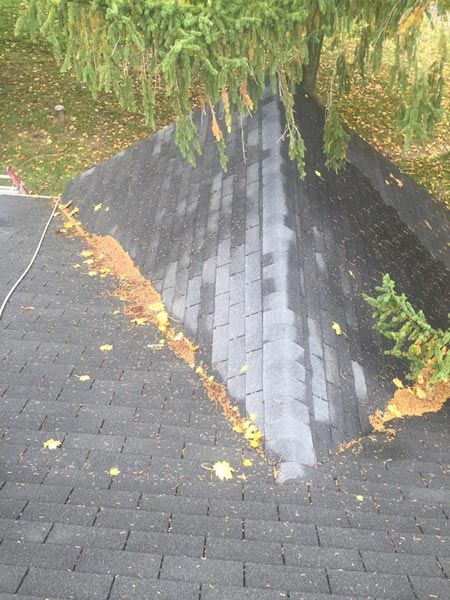 Gutter with fall leaves — Power Washing Services in New Galilee, PA