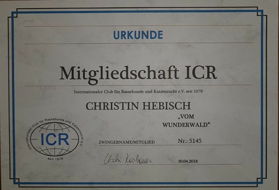 A certificate that says urkunde mitgliedschaft icr on it