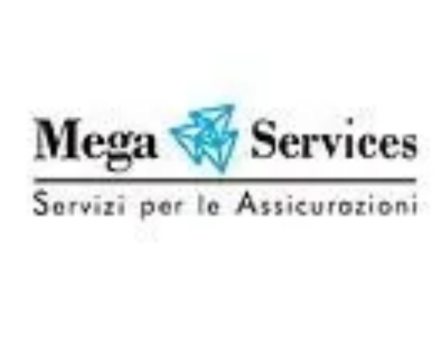 Mega Services