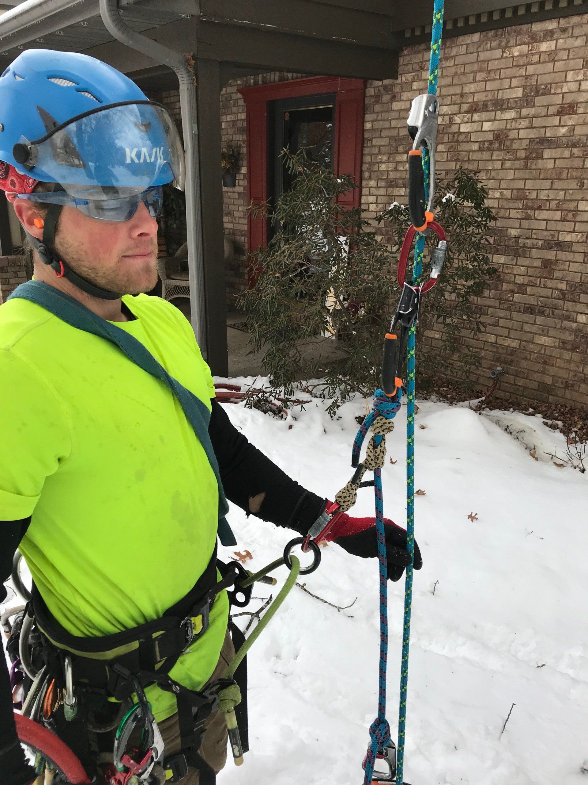 Arborist performing tree trimming