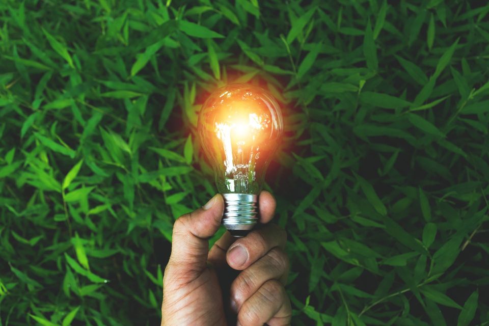 ISO 14001 registration for your company image representing ISO 14001 registration for your company