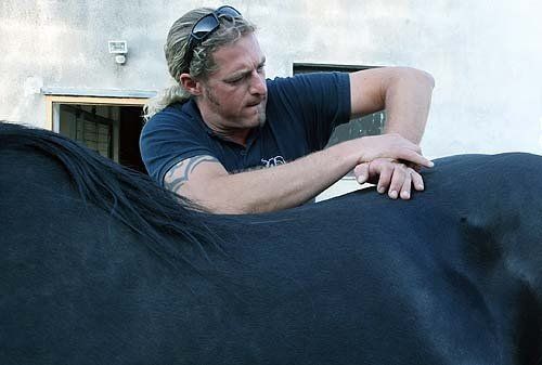 Chiropraktische Behandlung beim Pferd