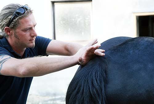 Chiropraktische Behandlung beim Pferd