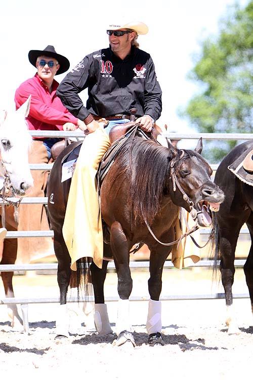Westernreiten