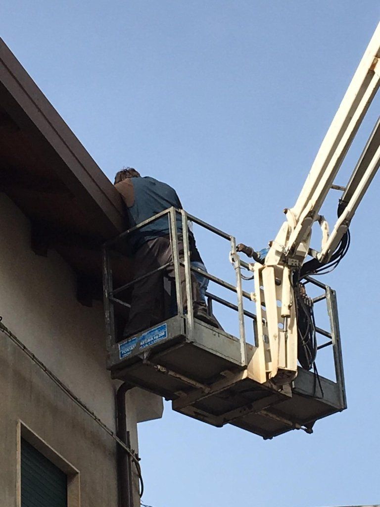 condello & multari