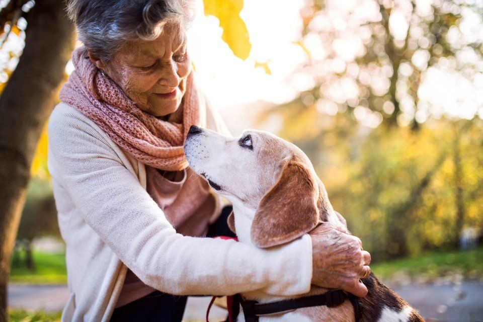 ospite di una casa di riposo con un cane