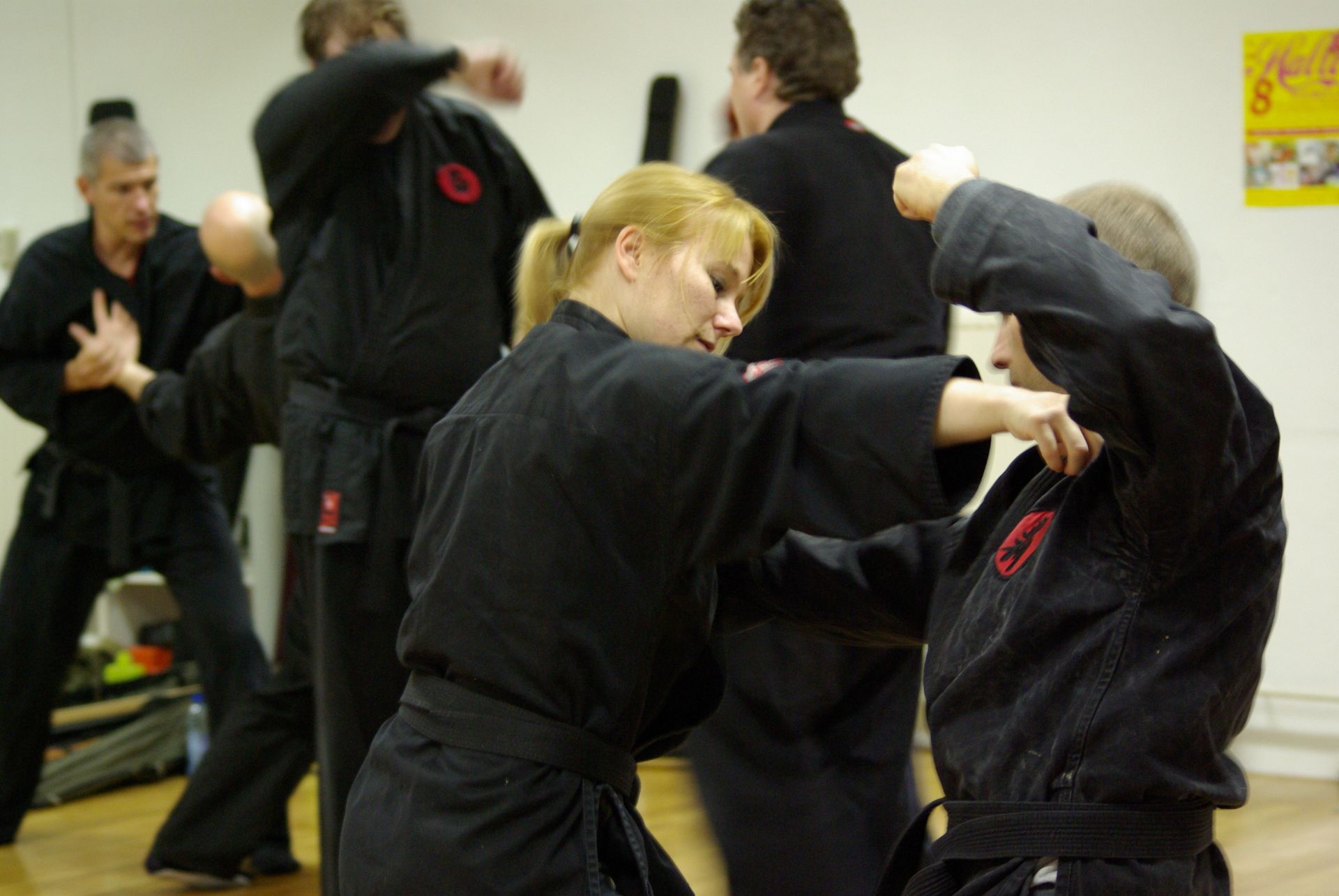 Training Bujinkan Budo Taijutsu / Ninjutsu, ABCT Training Bujinkan Budo Taijutsu / Ninjutsu, ABCT