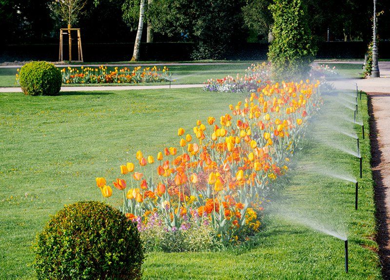 Irrigation System Installed — Dacula, GA — Pablo’s Landscape Inc. Irrigation System Installed — Dacula, GA — Pablo’s Landscape Inc.