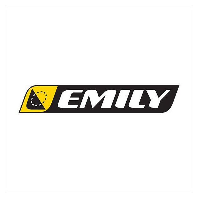 Emily logo