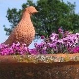 terracotta bird