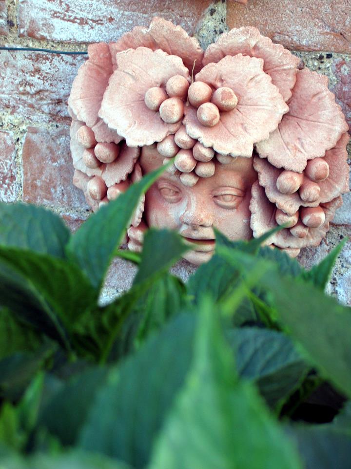 maschera in terracotta dietro una pianta