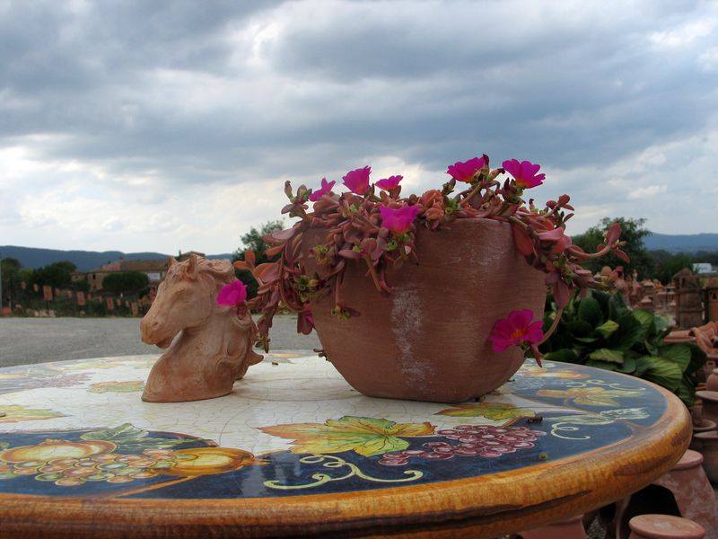 vaso e testa di cavallo in terracotta