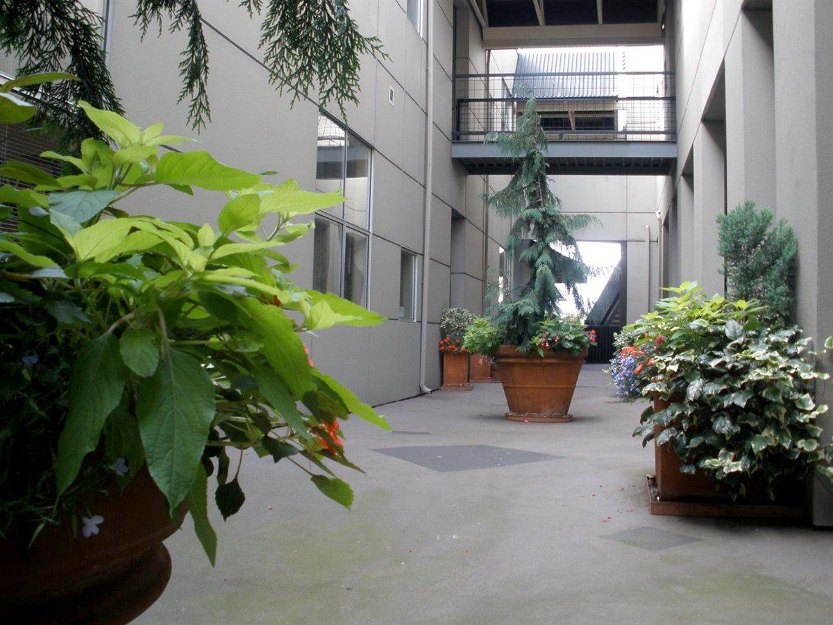 Courtyard
