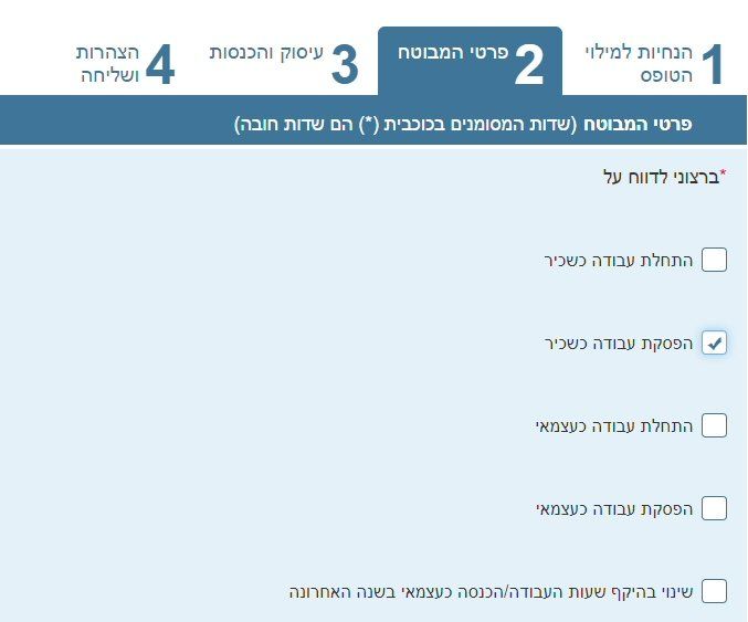 טופס 6101 דין וחשבון שנתי
