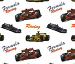 Dallas — Race Cars in Dallas, TX
