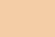 Prosthetic Products — Caucasian in Dallas, TX