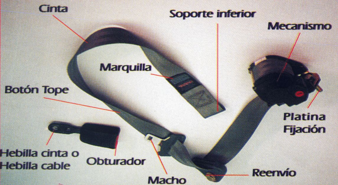 CINTURONES DE SEGURIDAD