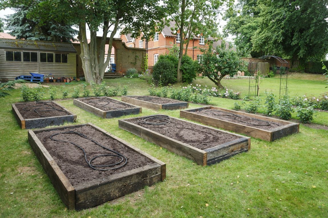 A row of raised garden beds in a lush green yard
