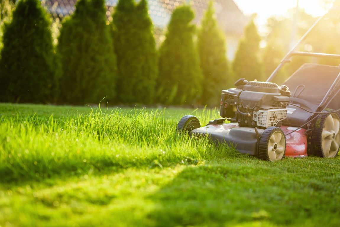 A lawn mower is cutting a lush green lawn.