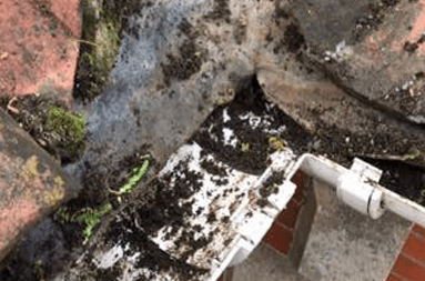 building cleaning