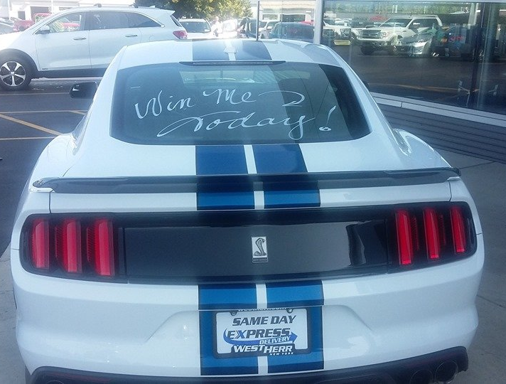 White Ford Mustang with blue racing stripes, parked in a lot, with 