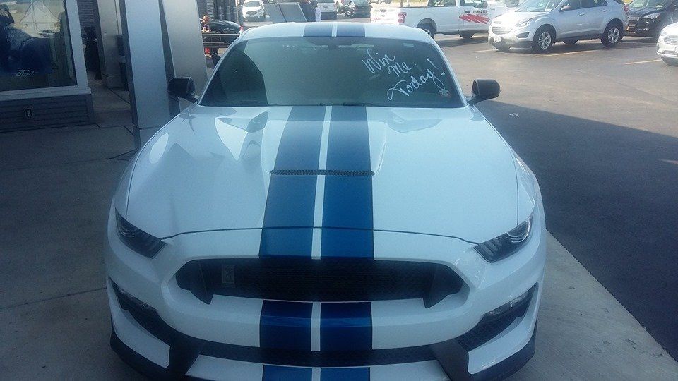 A white Ford Mustang with blue racing stripes, parked in a car dealership lot.