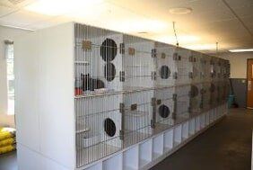 Animal Boarding Animal Boarding