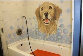 Animal Bathing Area Animal Bathing Area