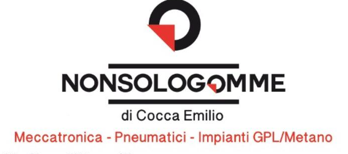 NonSoloGomme logo