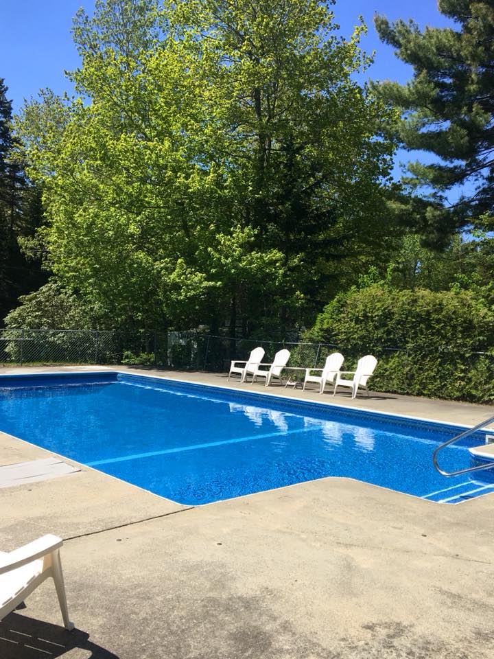 Backyard swimming pool with blue water, white lounge chairs, and trees under a clear sky