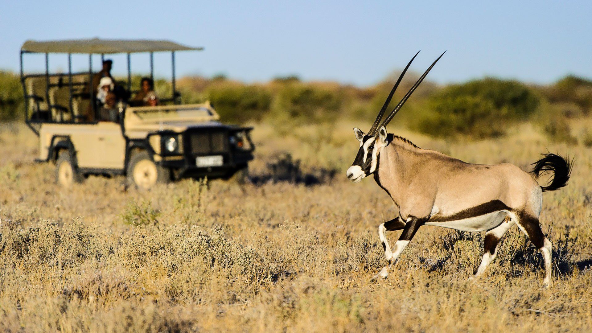 Central Kalahari