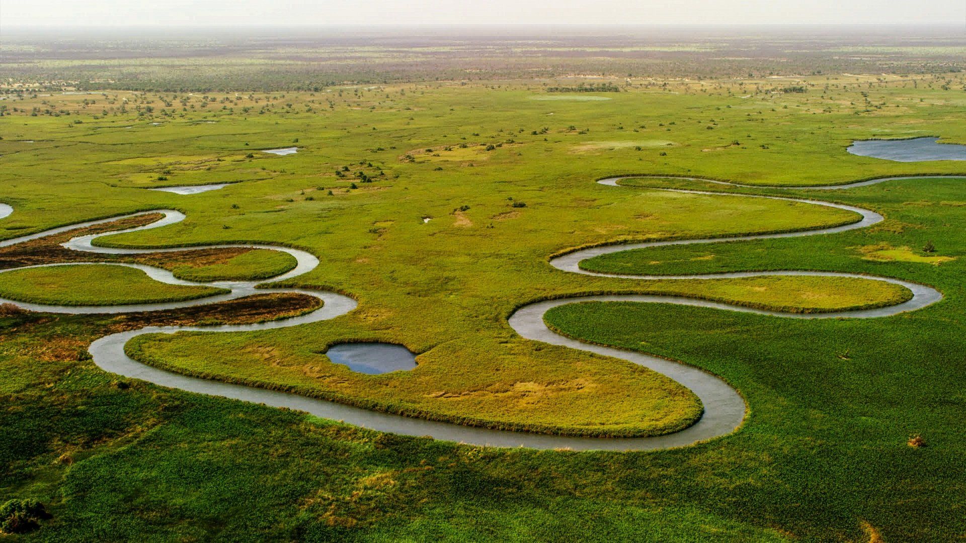 The Okavango Delta