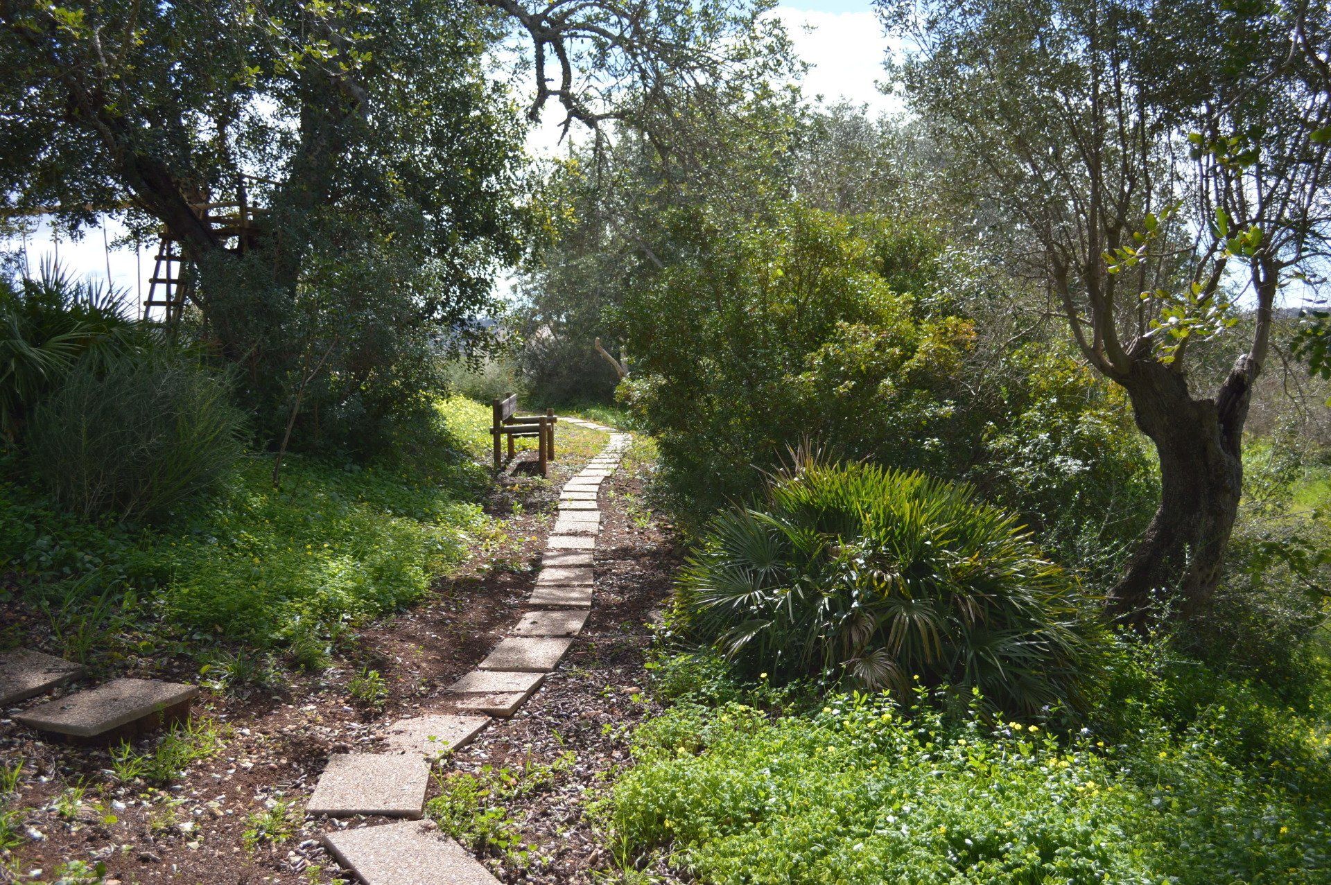 Camino naturaleza