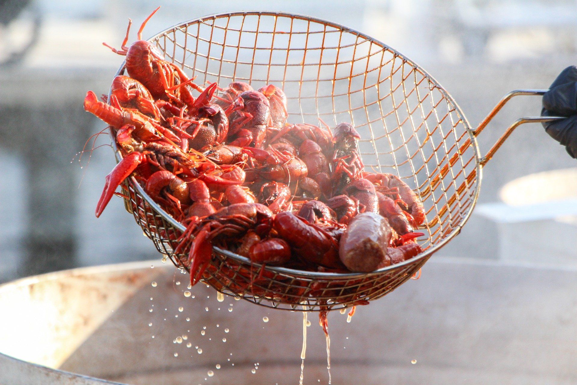 Basket of red crawfish being drained over a sink, with water dripping off the shells