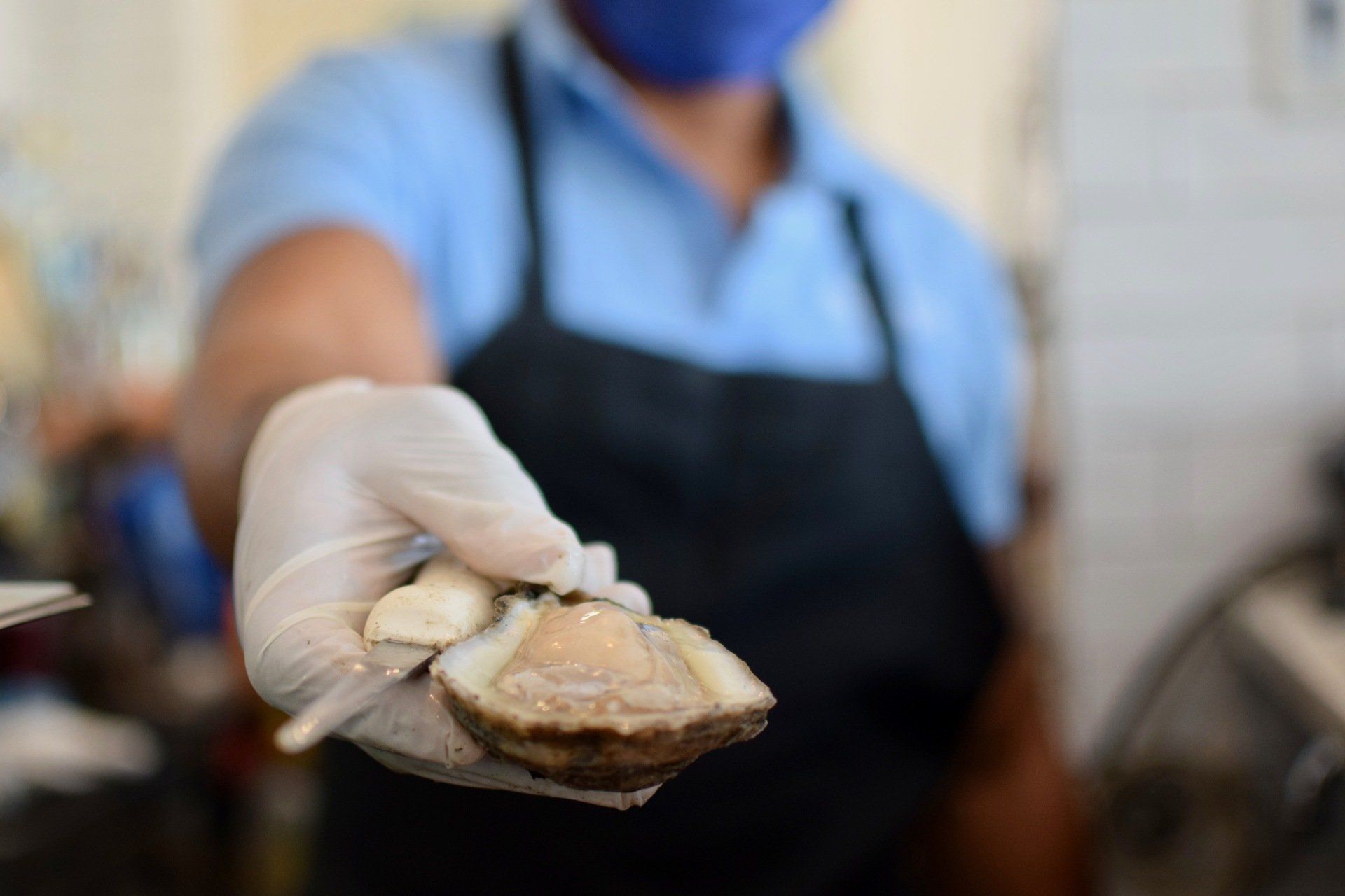 Gloved hand holding a freshly shucked oyster in a seafood market