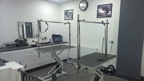 freshpaws dog grooming area