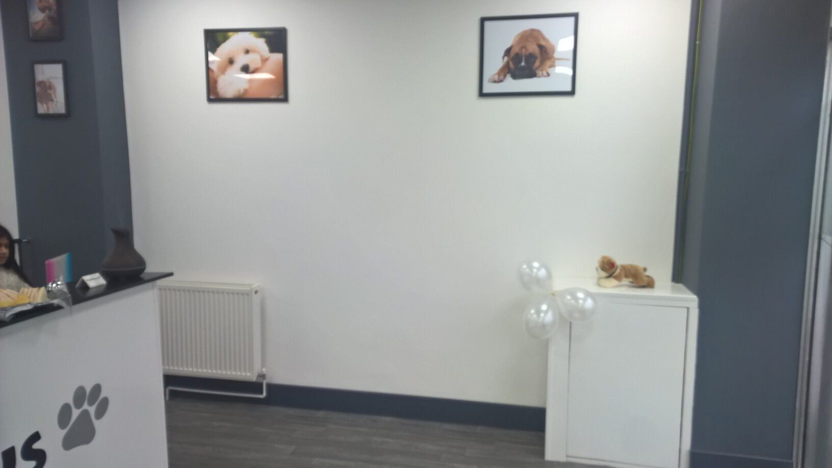freshpaws front desk area