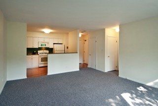 New Kitchen