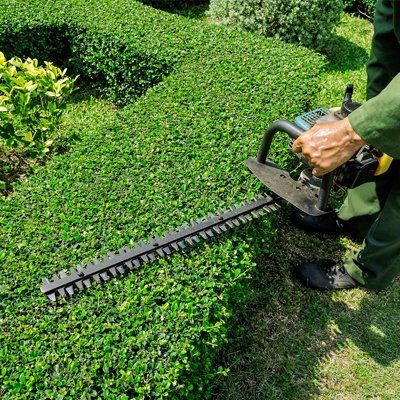 Hedge trimming