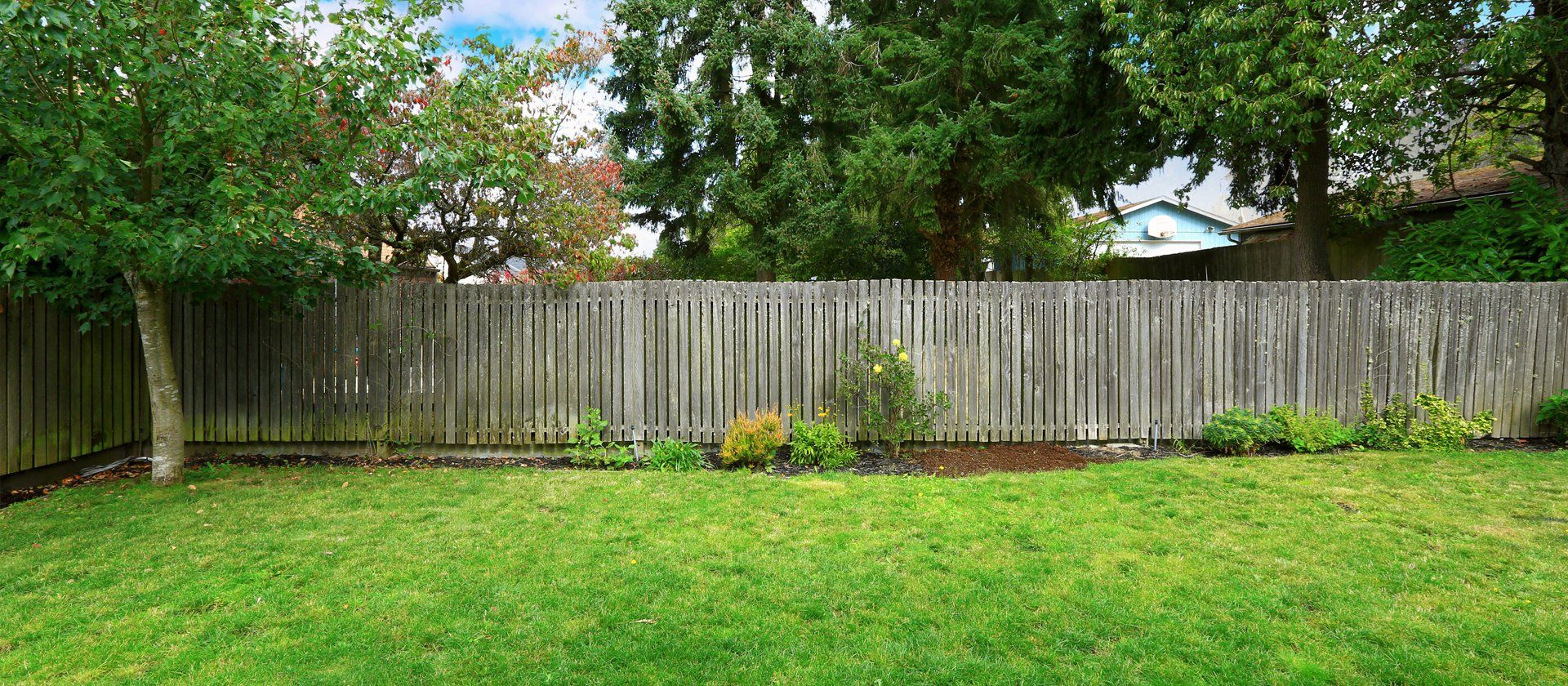 fence