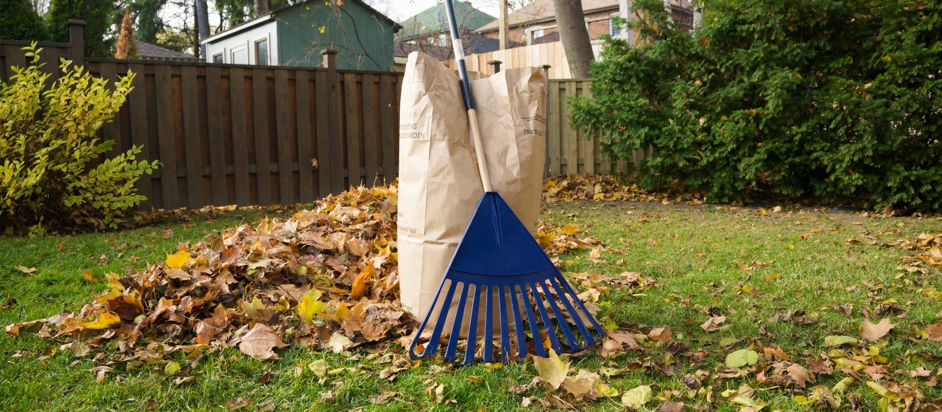 Rubbish clearance